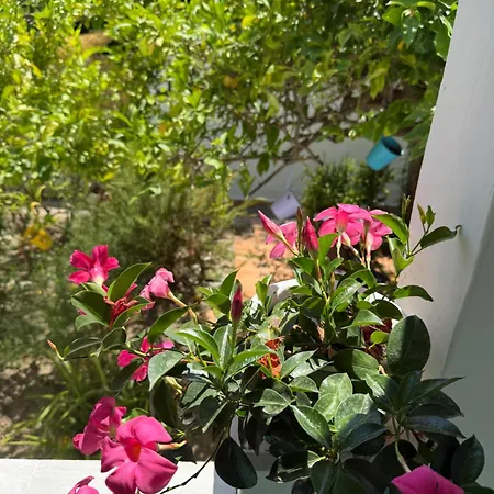 Apartamento Eliza Art *