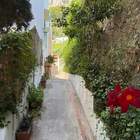 Eliza Art Apartamento