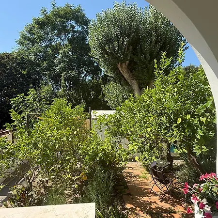 Διαμέρισμα Eliza Art