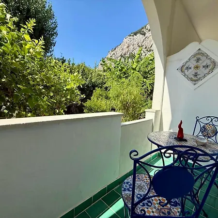 Eliza Art * Κάπρι